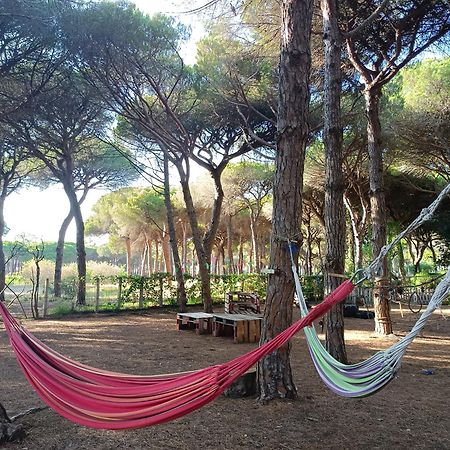 The Pineforest Cabin Chiclana de la Frontera Esterno foto
