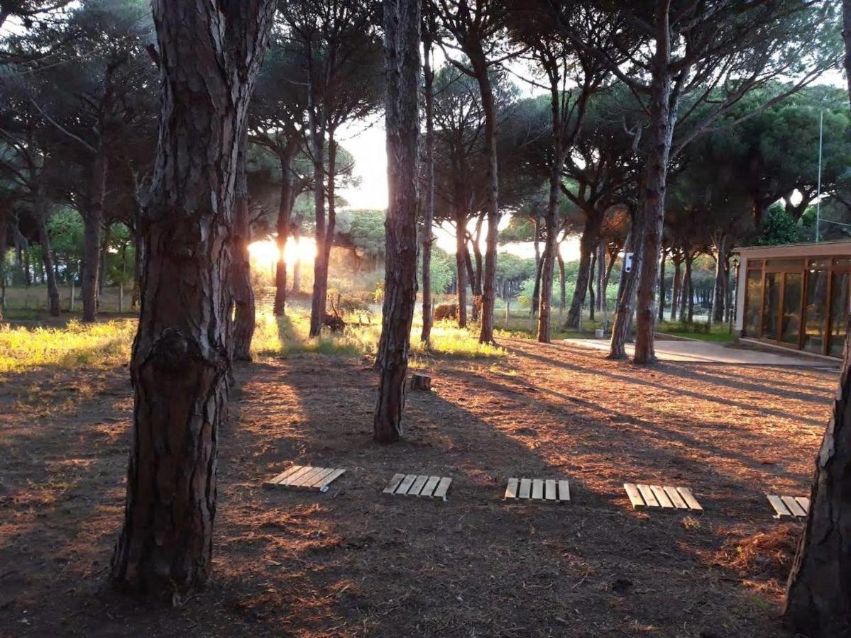 The Pineforest Cabin Chiclana de la Frontera Esterno foto