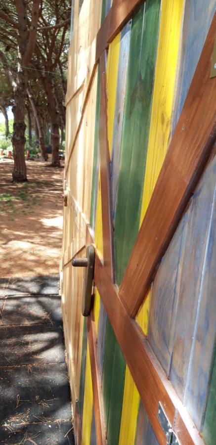 The Pineforest Cabin Chiclana de la Frontera Esterno foto
