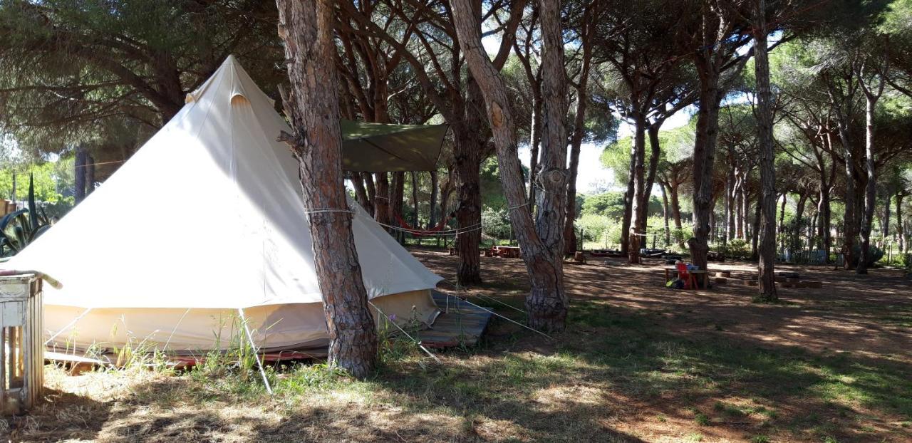 The Pineforest Cabin Chiclana de la Frontera Esterno foto