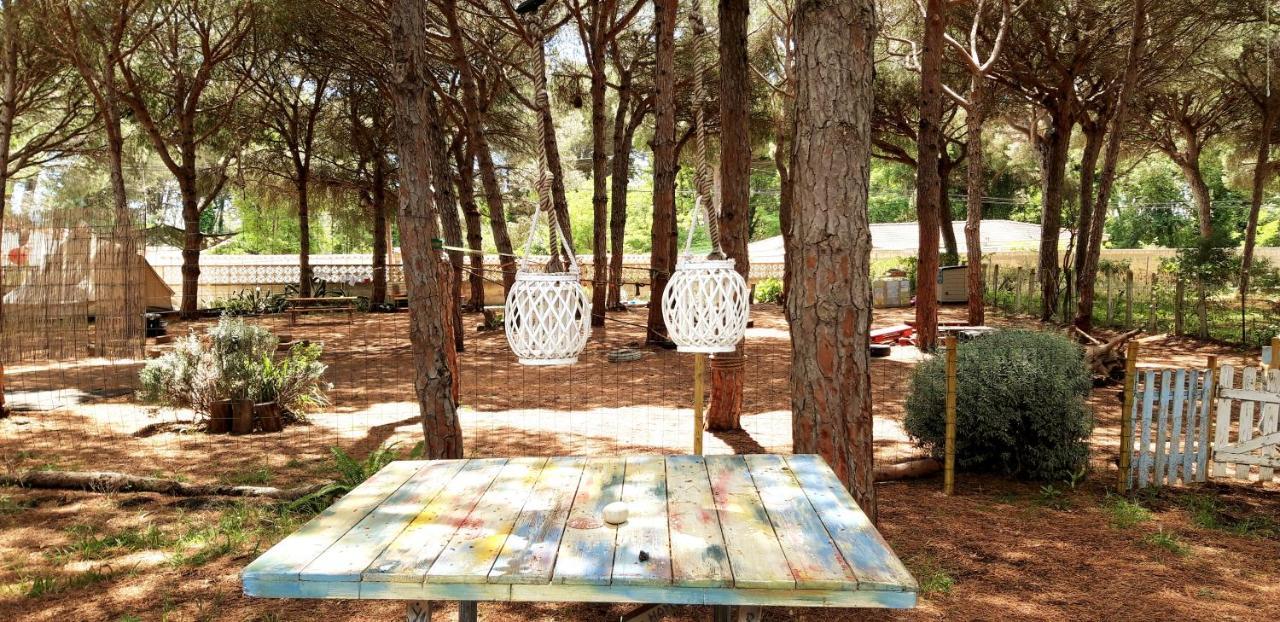 The Pineforest Cabin Chiclana de la Frontera Esterno foto
