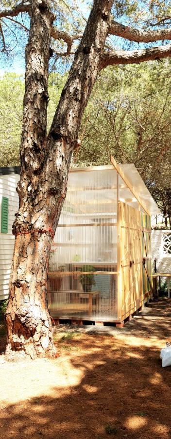 The Pineforest Cabin Chiclana de la Frontera Esterno foto