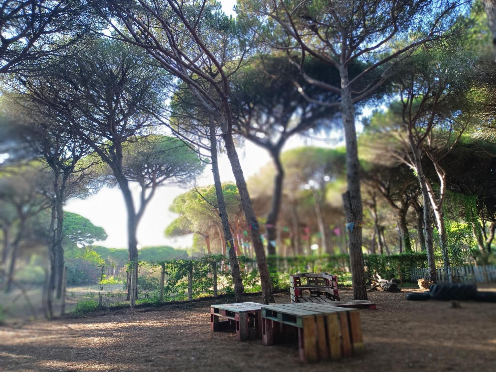 The Pineforest Cabin Chiclana de la Frontera Esterno foto